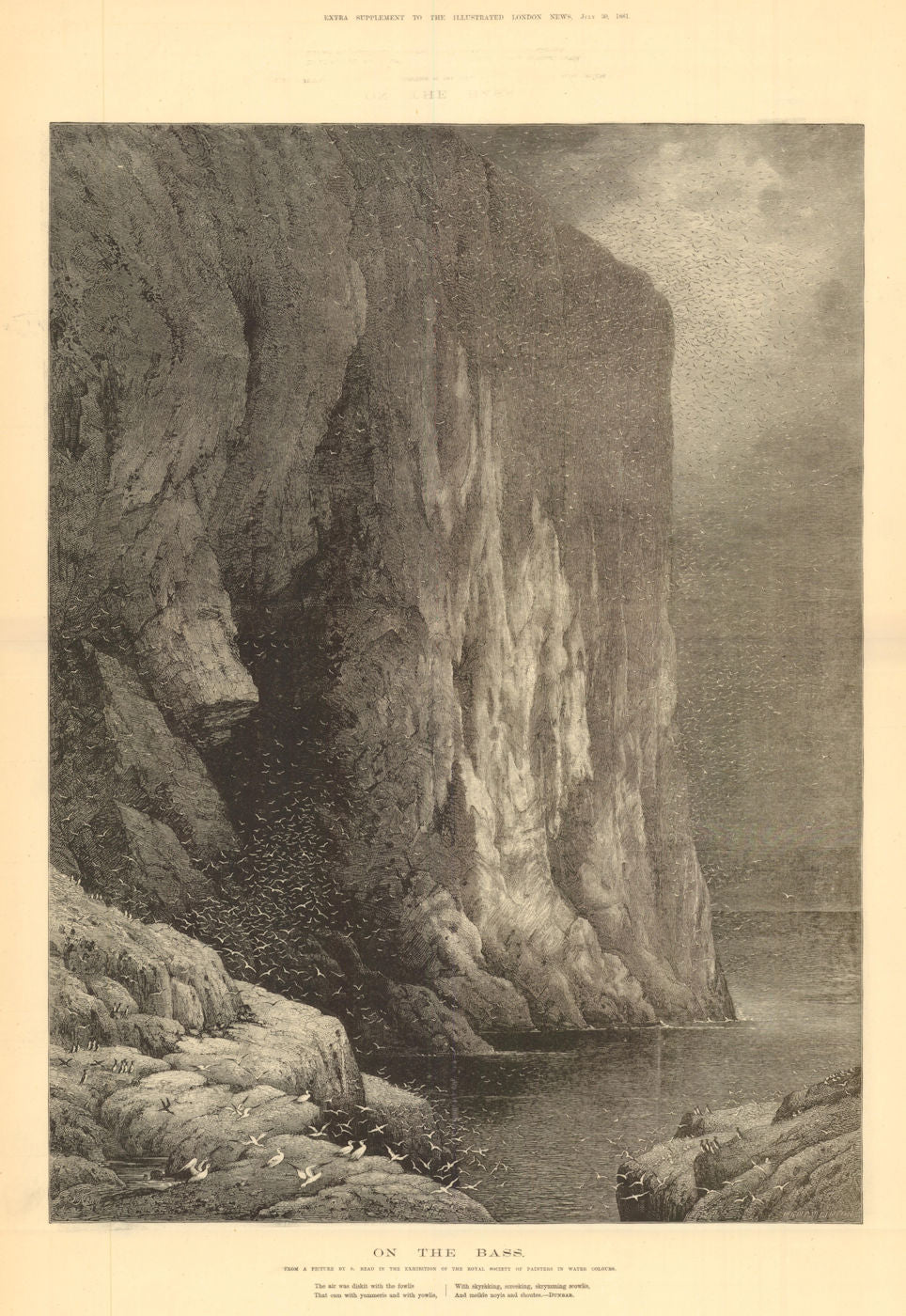 The Bass Rock, from a picture by S. Read. Scotland 1881 old antique print